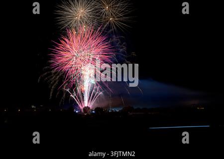 Vibrant fireworks burst against a dark night sky. Pink, gold, and white trails illuminate the horizon. Silhouettes of trees and distant lights frame t Stock Photo