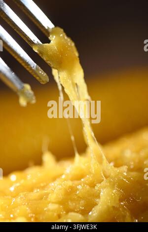 Fork Lifting Sticky Glutinous Corn Kernels, Waxy Corn Close Up Stock Photo