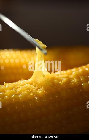 Fork Lifting Sticky Glutinous Corn Kernels, Waxy Corn Close Up Stock Photo