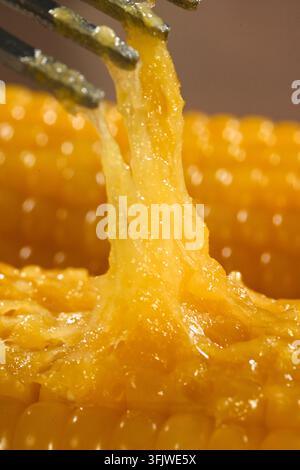 Fork Lifting Sticky Glutinous Corn Kernels, Waxy Corn Close Up Stock Photo