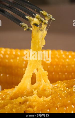 Fork Lifting Sticky Glutinous Corn Kernels, Waxy Corn Close Up Stock Photo