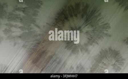 A soft sage green abstract background showcasing a central radial burst design with a fine grainy texture throughout. Stock Photo