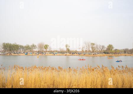 Kayaks on the lake at Wenyuhe Park in Beijing, with a crowd camping on the shore Stock Photo