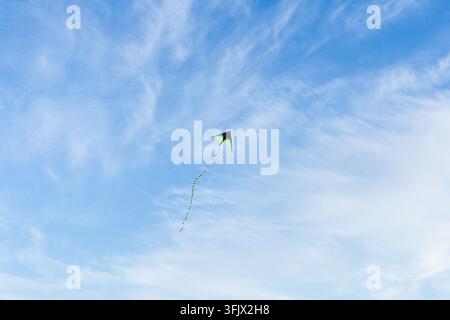 Green and black long-tailed kite flying in the blue sky Stock Photo