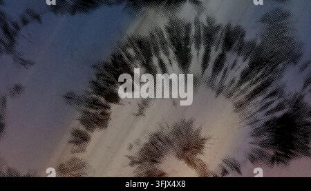 A close-up view of abstract palm tree leaf shadows cast onto a textured surface, creating a rhythmic and artistic play of light and dark lines. Stock Photo