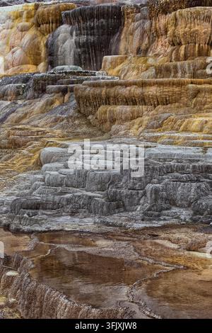 016 Close-up image of the Mound and Jupiter Terraces, Mammoth Hot Springs= tiered, algae-and-bacteria-colored travertine pools. Yellowstone NP-WY-USA. Stock Photo