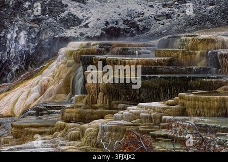 018 Close-up image of the Mound and Jupiter Terraces, Mammoth Hot Springs= tiered, algae-and-bacteria-colored travertine pools. Yellowstone NP-WY-USA. Stock Photo
