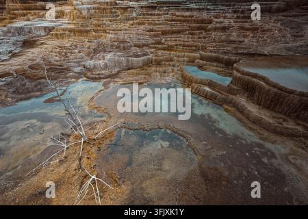 020 Close-up image of the Mound and Jupiter Terraces, Mammoth Hot Springs= tiered, algae-and-bacteria-colored travertine pools. Yellowstone NP-WY-USA. Stock Photo