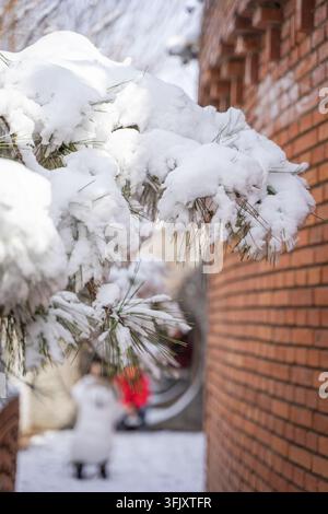 Snow weighing down pine branches beside a red brick wall Stock Photo