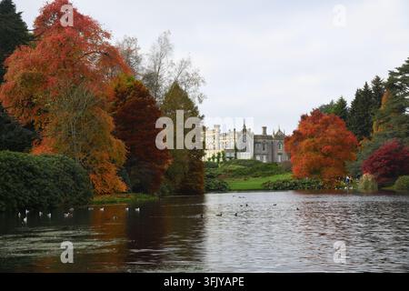 Golden autumn colours Stock Photo
