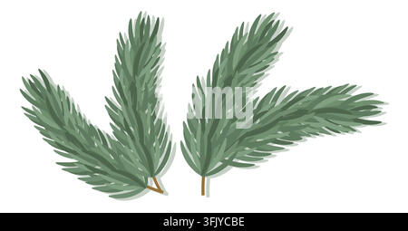 Flat lay pine branches isolated on white background cozy eco Christmas vector elements for winter holiday design Stock Vector