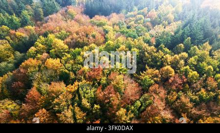 Forest canopy displaying vibrant autumn colors from an aerial drone viewpoint Stock Photo