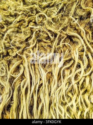 Close up showing tangled and dense animal fur creating a detailed fibrous texture Stock Photo