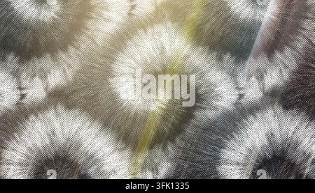 Abstract vintage halftone tie-dye pattern background with vintage distressed texture and grainy overlay. Stock Photo