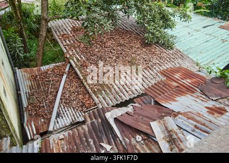 rusty corrugated metal roof covered in dry leaves, weathered iron sheets, abandoned rural architecture background concept Stock Photo