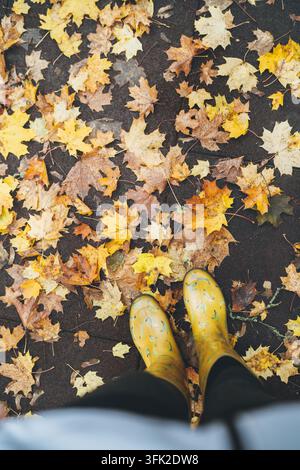Woman feet in yellow rubber boots standing on ground covered with bright yellow autumn maple leaves top down first person pov view during outdoor natu Stock Photo