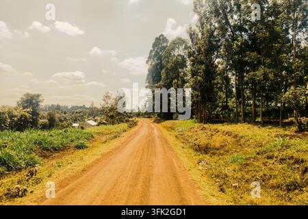Scenic Dirt Road Winding Through Rural Landscape in Murang’a County, Kenya Stock Photo