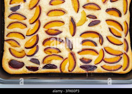 Homemade Plum Cake Baked in a Rectangular Pan on White Stock Photo