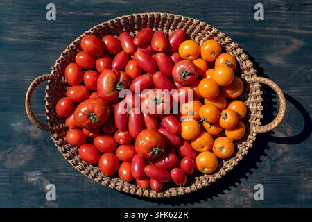 Fresh red and yellow tomatoes in wicker basket, top view, close up. Round wicker basket filled with ripe red plum tomatoes and bright yellow cherry to Stock Photo