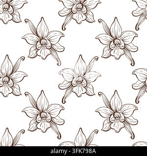 Vanilla orchid flower pod botanical spice linear vector seamless pattern illustration motif combining flowering forms with curved vanilla beans in a Stock Vector