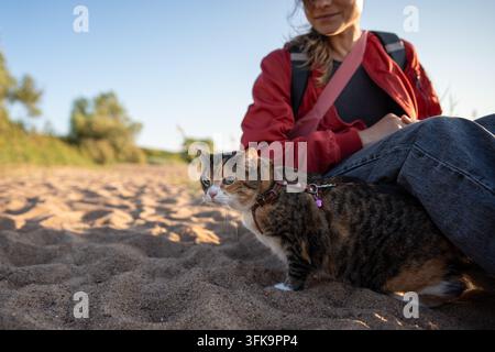 Feline owner woman relaxing with calico cat on sandy beach during outdoor walk together on sunny day Stock Photo