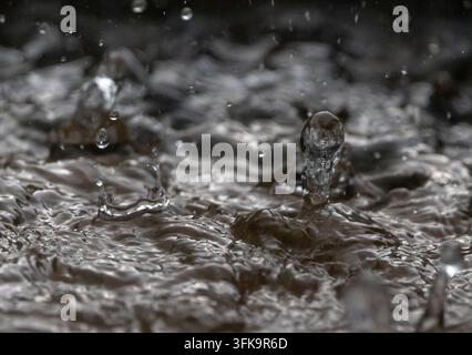 Heavy rain causes violent impacts on water with multiple rebounding droplets. Stock Photo