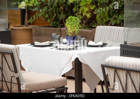 Elegant outdoor restaurant table set for four on a cozy terrace with lush tropical greenery and a potted yellow oleander tree (Thevetia peruviana). Stock Photo