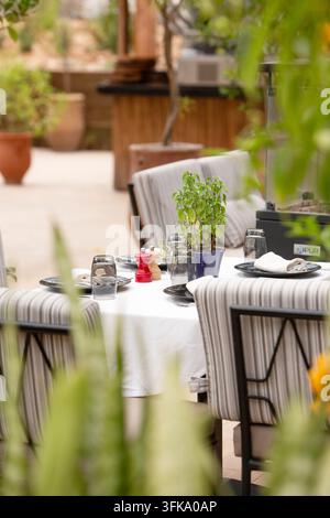 Elegant outdoor restaurant table set for four on a cozy terrace with lush tropical greenery and a potted yellow oleander tree (Thevetia peruviana). Stock Photo