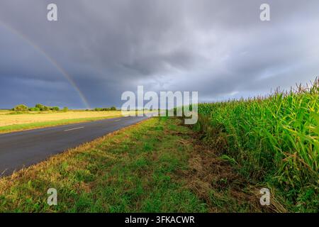 Road stretches through grassy fields under stormy skies. Faint rainbow arcs across dark clouds, hinting at hope after rain. Green vegetation lines the Stock Photo