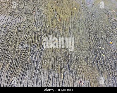 Abstract natural sand ripple patterns on shallow river bed with thin layer of clear water creating wavy texture. Beautiful natural background with org Stock Photo