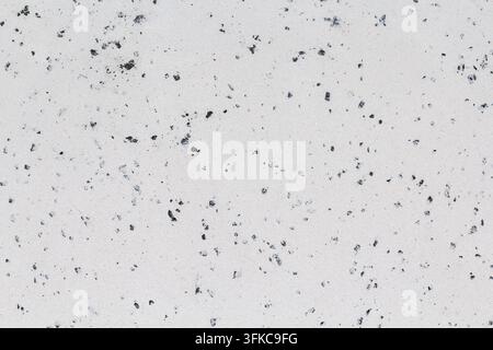 Close-up of a light grey textured surface with scattered dark particles creating a subtle speckled pattern. Stock Photo