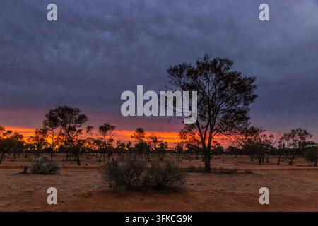 Glowing band of orange light on the horizon behind silhouetted trees and a bush, with dark brooding clouds over red earth in remote Australia. Stock Photo