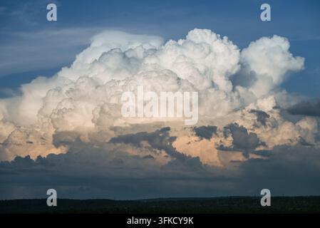Large cumulonimbus cloud developing in the sky, illuminated by sunlight and casting shadows over a distant forest, creating a dramatic and beautiful atmospheric scene Stock Photo