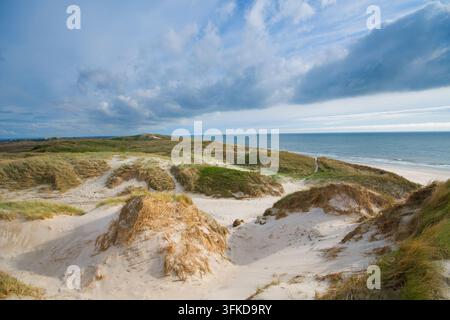 Wide and sandy beach with high dunes in Skodbjerge holiday area between Haurvig and Bjerregård, Denmark Stock Photo