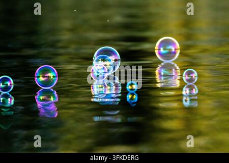 Tiny and large bubbles shimmer above the pond as delicate ripples bend reflections. A rainbow sheen wraps each sphere turning the peaceful water into Stock Photo