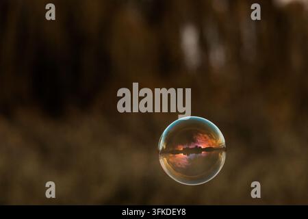 An isolated bubble hangs in dark space shimmering with subtle rainbow bands. The orb feels weightless and calm as soft bokeh melts behind it suggestin Stock Photo
