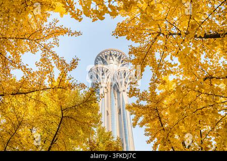 Low angle shot of Olympic Tower in Beijing surrounded by yellow autumn leaves Stock Photo