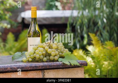 White wine bottle and green grape bunches with vine leaves on a stone-topped brick ledge, against blurred ferns and greenery with space on the right. Stock Photo