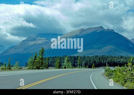A peaceful highway curves toward towering peaks covered in dense evergreen forests during a bright day with dramatic cloud formations overhead, Icefie Stock Photo