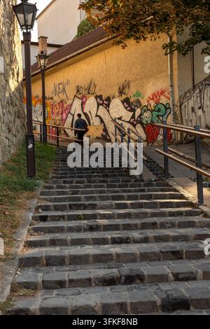 A stone staircase with metal handrails leads through an urban passage beside an old plaster building covered in colorful graffiti. One person walks up Stock Photo