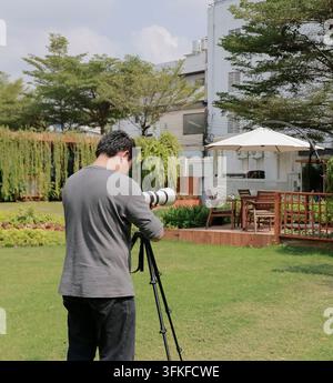 An Asian photographer operates a professional mirrorless camera with a telephoto lens on a grassy lawn at the outdoor noon time. Stock Photo
