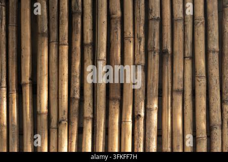 Front view of natural sunlit bamboo fence panels showing vertical stalks, knots and warm wood texture ideal for rustic decor, tropical themes, backgro Stock Photo