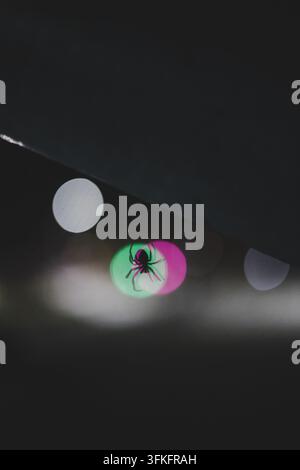 Spider silhouetted against a bright circular light on a delicate web, surrounded by dreamy blue, white and pink bokeh, creating a moody abstract macro Stock Photo