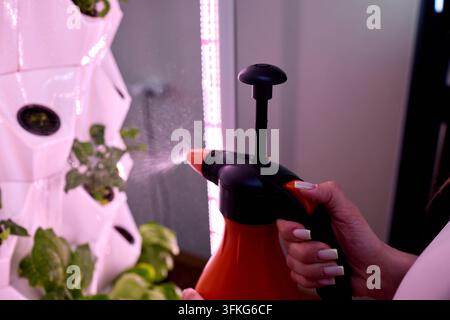 Woman refreshing mirror with spray. Casual woman cleaning mirror with spray in bright room. Relaxed woman using spray to clean mirror on vanity during Stock Photo