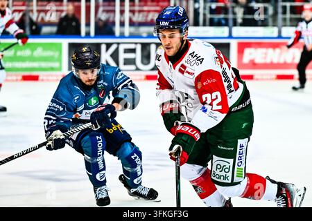 Mac Hollowell (Iserlohn Roosters, #81), GER, Iserlohn Roosters vs ...