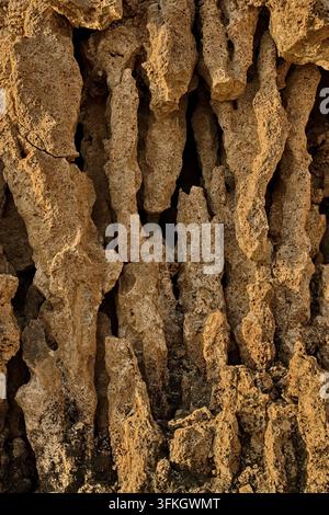 Macro abstract texture of natural coastal rock formation on the Red Sea shore in Marsa Alam, Egypt Stock Photo