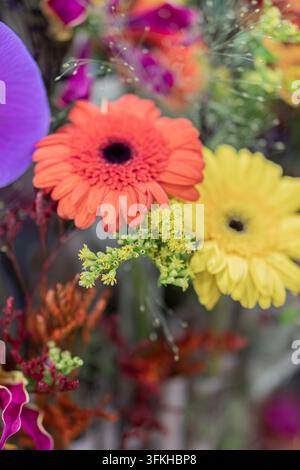 Vibrant flower bouquet featuring colorful blooms, bright orange gerbera daisy at center, surrounded by yellow, purple and red flowers, natural garden Stock Photo