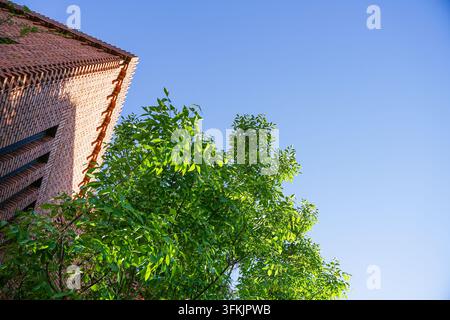 Low-angle view of herringbone red brick corner wall with green trees Stock Photo
