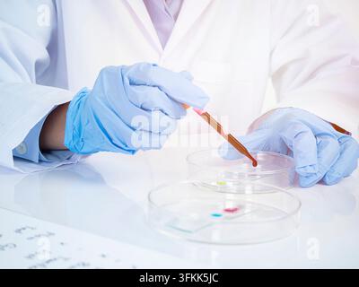 Asian female scientist lab assistant in blue gloves with medical gown doing some research. medicine science concept. Stock Photo