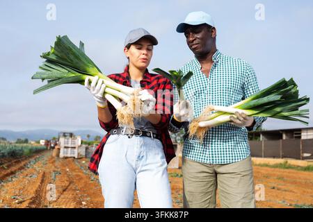 Young caucasian woman and african-american man gardeners standing on vegetable field, discussing leek crop during harvest works. Stock Photo